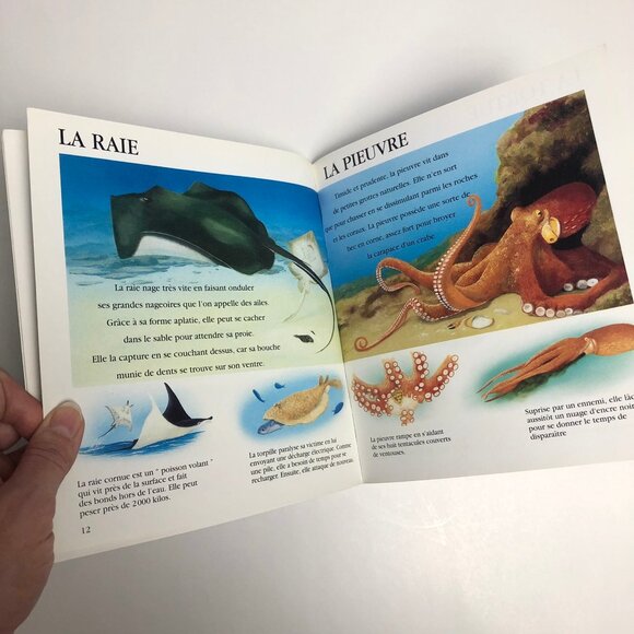 Lot livres vintage pour enfants et marionnette vintage 🦀 French Childrens Books - Picture 10 of 13